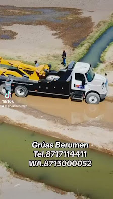 Gruas Berumen